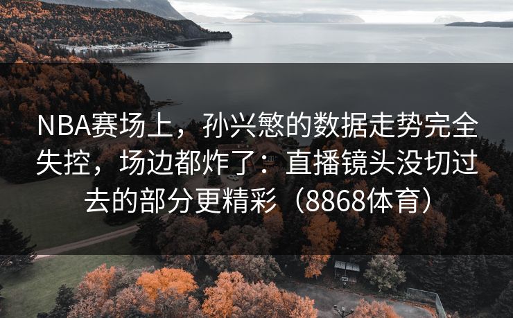 NBA赛场上，孙兴慜的数据走势完全失控，场边都炸了：直播镜头没切过去的部分更精彩（8868体育）