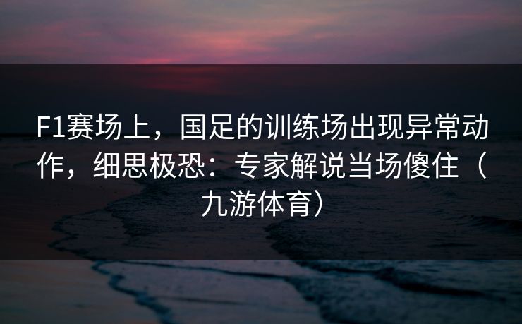F1赛场上，国足的训练场出现异常动作，细思极恐：专家解说当场傻住（九游体育）
