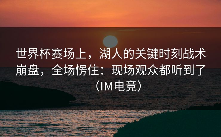 世界杯赛场上，湖人的关键时刻战术崩盘，全场愣住：现场观众都听到了（IM电竞）