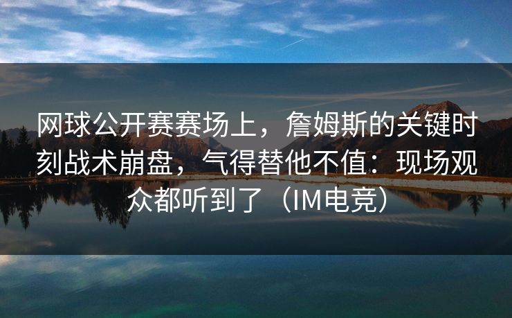 网球公开赛赛场上，詹姆斯的关键时刻战术崩盘，气得替他不值：现场观众都听到了（IM电竞）