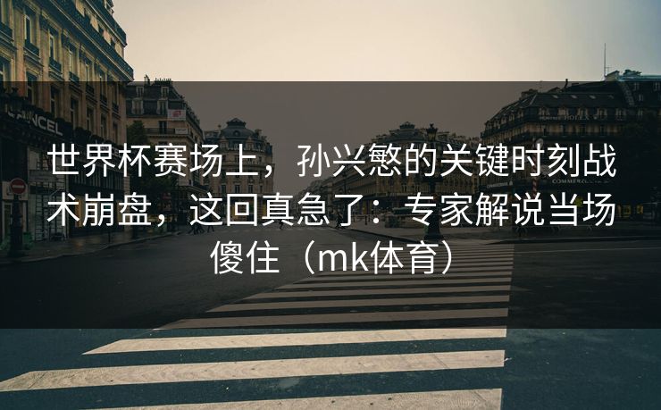 世界杯赛场上，孙兴慜的关键时刻战术崩盘，这回真急了：专家解说当场傻住（mk体育）