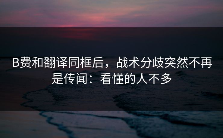 B费和翻译同框后，战术分歧突然不再是传闻：看懂的人不多